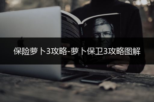 保险萝卜3攻略-萝卜保卫3攻略图解