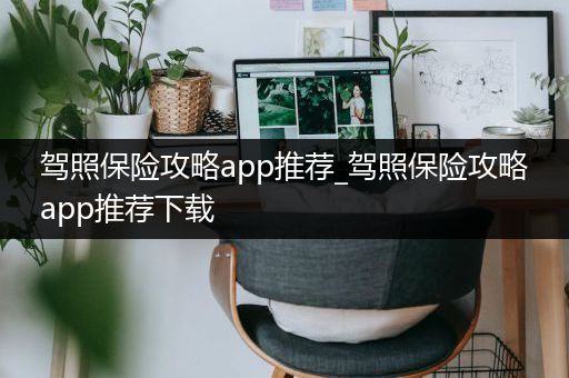 驾照保险攻略app推荐_驾照保险攻略app推荐下载