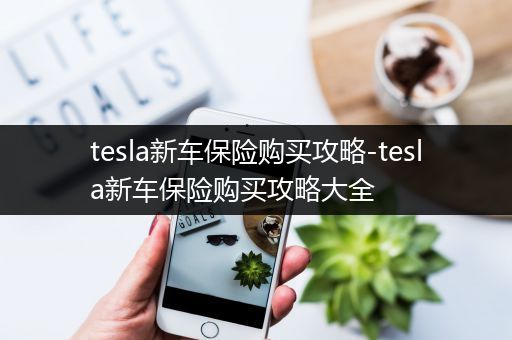 tesla新车保险购买攻略-tesla新车保险购买攻略大全