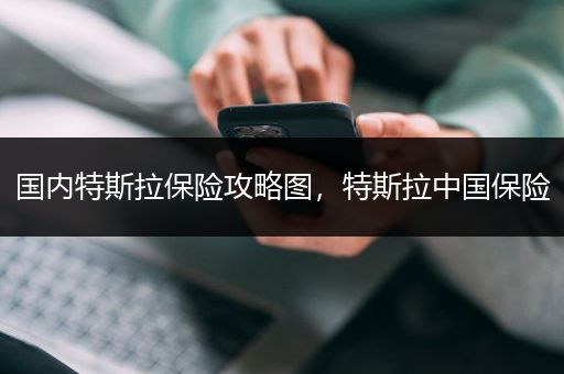 国内特斯拉保险攻略图，特斯拉中国保险