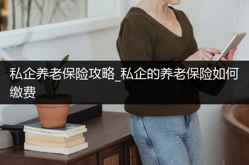 私企养老保险攻略_私企的养老保险如何缴费