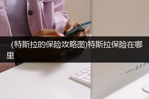 （特斯拉的保险攻略图)特斯拉保险在哪里