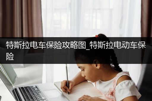 特斯拉电车保险攻略图_特斯拉电动车保险