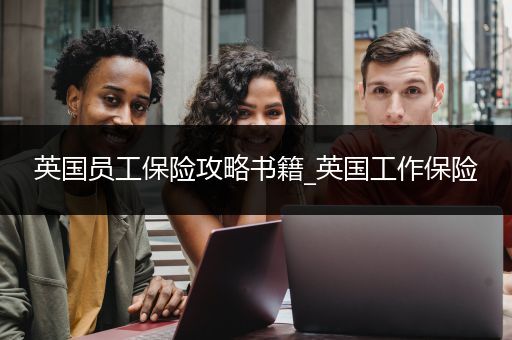 英国员工保险攻略书籍_英国工作保险